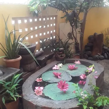 Elisa Home Stay Villa-2